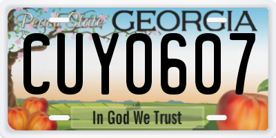 GA license plate CUY0607