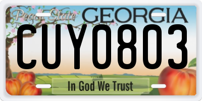 GA license plate CUY0803