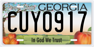 GA license plate CUY0917
