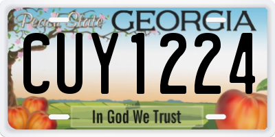 GA license plate CUY1224