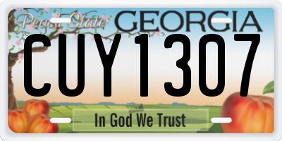 GA license plate CUY1307