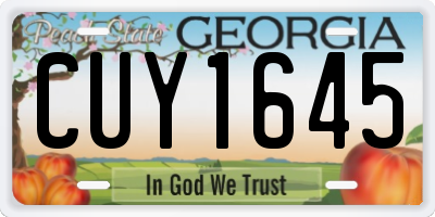GA license plate CUY1645