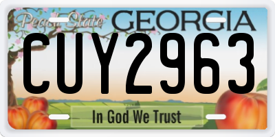 GA license plate CUY2963