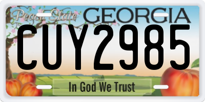 GA license plate CUY2985
