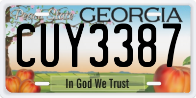 GA license plate CUY3387