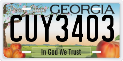 GA license plate CUY3403