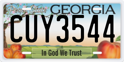 GA license plate CUY3544
