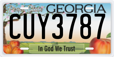 GA license plate CUY3787