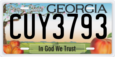 GA license plate CUY3793