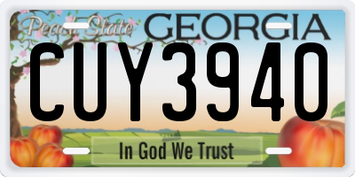 GA license plate CUY3940