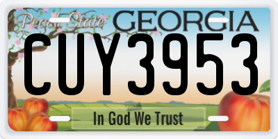 GA license plate CUY3953