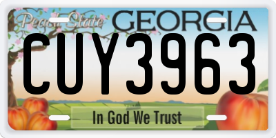 GA license plate CUY3963