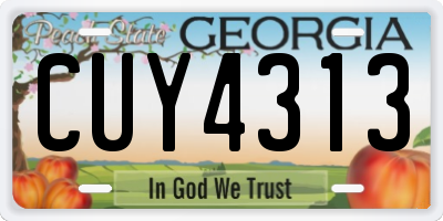 GA license plate CUY4313
