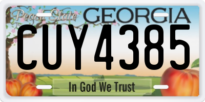 GA license plate CUY4385