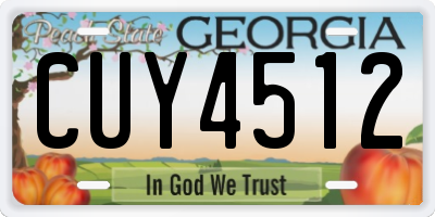GA license plate CUY4512