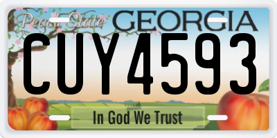 GA license plate CUY4593
