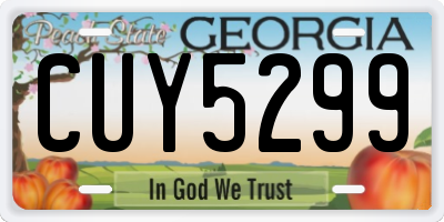 GA license plate CUY5299