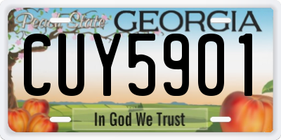 GA license plate CUY5901