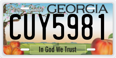 GA license plate CUY5981