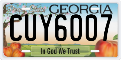 GA license plate CUY6007