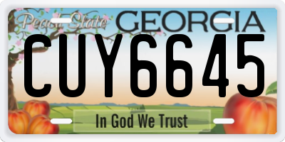 GA license plate CUY6645