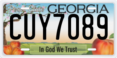 GA license plate CUY7089
