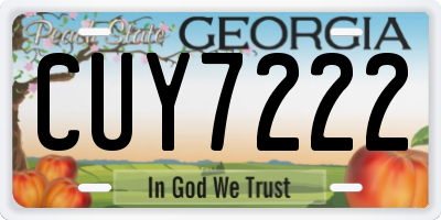 GA license plate CUY7222
