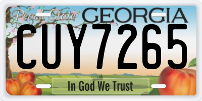 GA license plate CUY7265