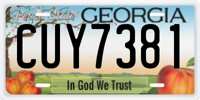 GA license plate CUY7381