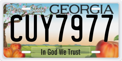 GA license plate CUY7977