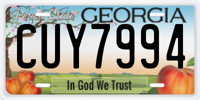 GA license plate CUY7994