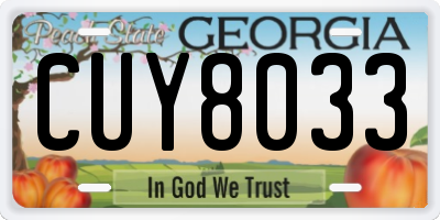 GA license plate CUY8033