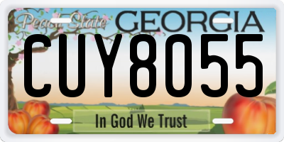 GA license plate CUY8055
