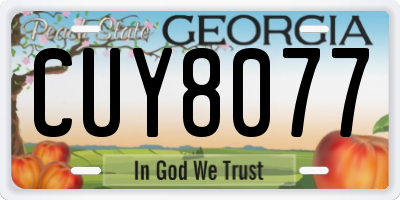 GA license plate CUY8077