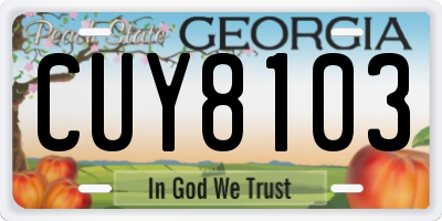 GA license plate CUY8103