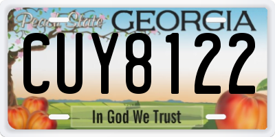 GA license plate CUY8122
