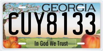 GA license plate CUY8133