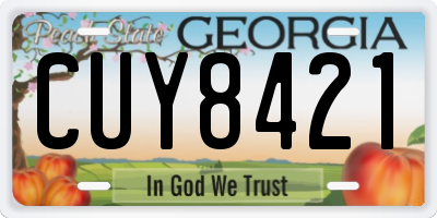 GA license plate CUY8421