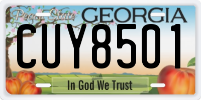 GA license plate CUY8501