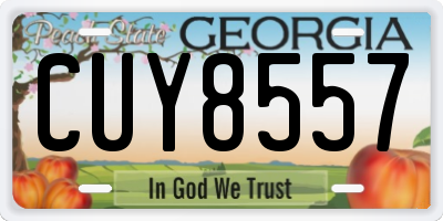 GA license plate CUY8557