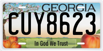 GA license plate CUY8623