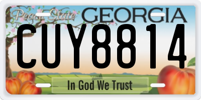 GA license plate CUY8814