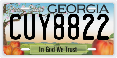 GA license plate CUY8822