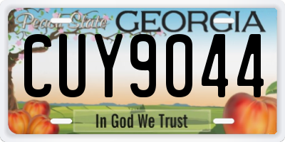 GA license plate CUY9044