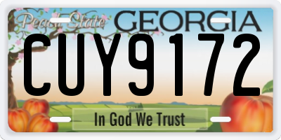 GA license plate CUY9172