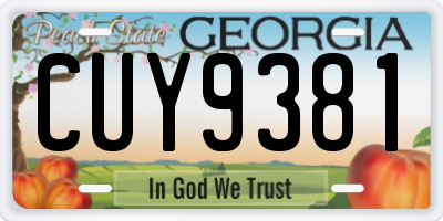 GA license plate CUY9381