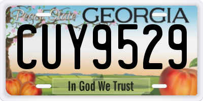 GA license plate CUY9529