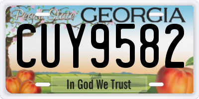 GA license plate CUY9582