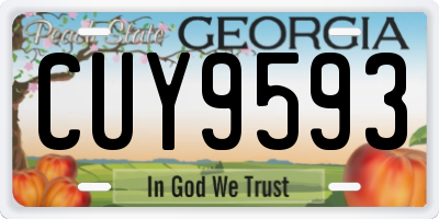 GA license plate CUY9593