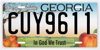 GA license plate CUY9611